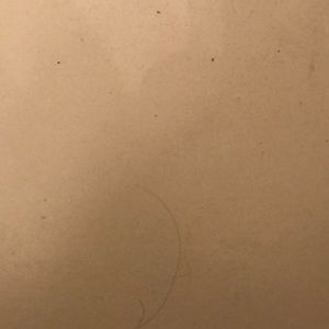 Meet your Posher, Riley